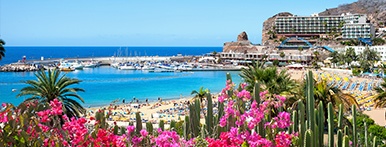 last minute Gran Canaria