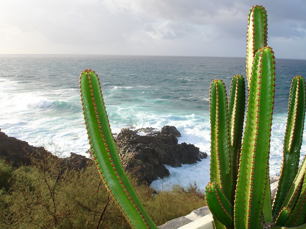 Playa Paraiso