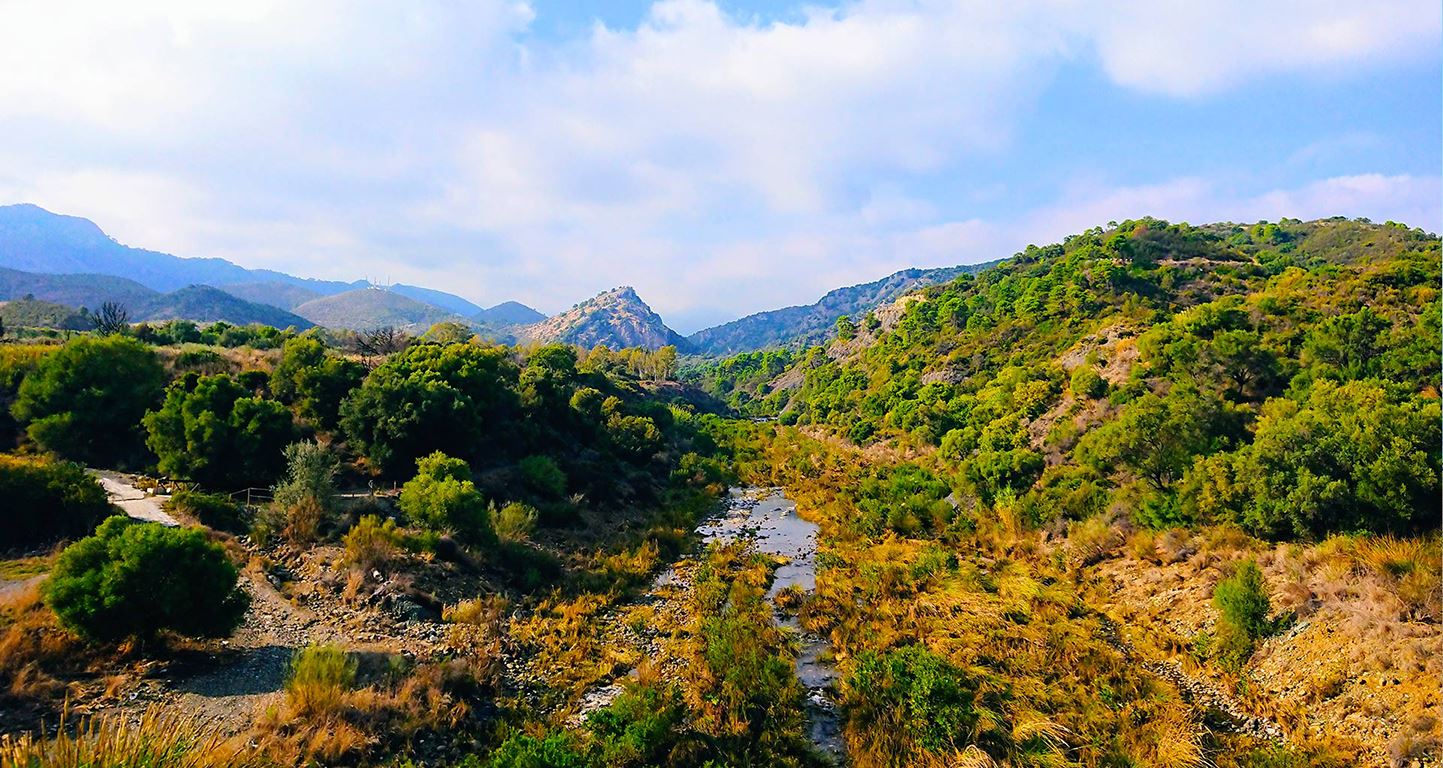 Benahavís