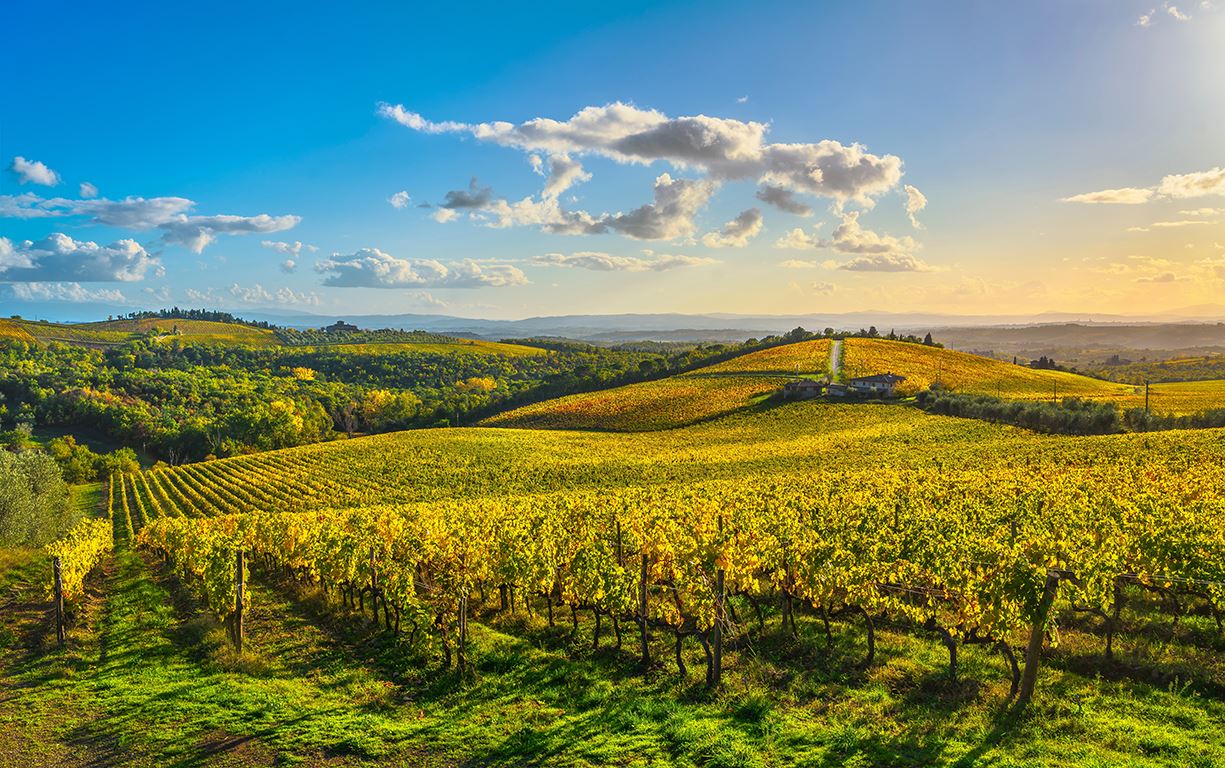 Radda in Chianti